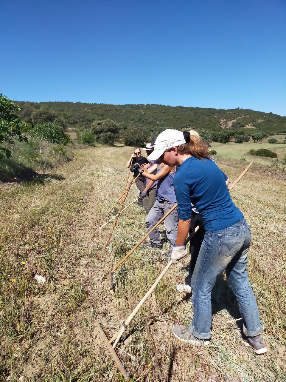 photo_2023 08 10%201.01.00%20p. m.